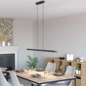 Eglo Lisciana LED Pendant Grey by Eglo, a Pendant Lighting for sale on Style Sourcebook