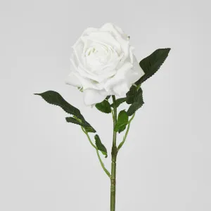 Walter Real Touch Rose Stem Winter White
  61cm by Florabelle Living, a Plants for sale on Style Sourcebook
