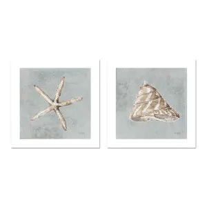 Sand And Seashells, Style C & D, Set Of 2 by Gioia Wall Art, a Prints for sale on Style Sourcebook