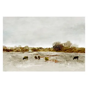 Cows By The Sea by Gioia Wall Art, a Prints for sale on Style Sourcebook