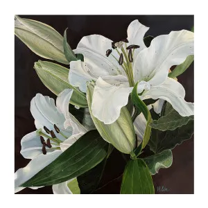 White Lilies by Gioia Wall Art, a Prints for sale on Style Sourcebook