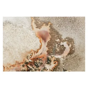 Discovery by Gioia Wall Art, a Prints for sale on Style Sourcebook