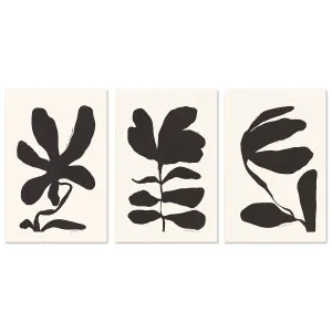 Jasmine, Crossandra And Lily, Set Of 3 by Gioia Wall Art, a Prints for sale on Style Sourcebook