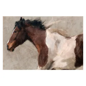 Flight by Gioia Wall Art, a Prints for sale on Style Sourcebook