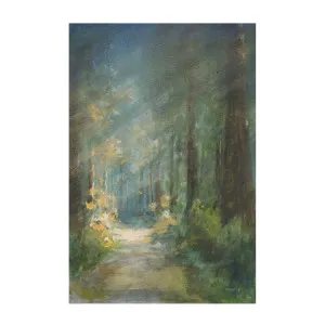 Sun Soaked Redwoods by Gioia Wall Art, a Prints for sale on Style Sourcebook