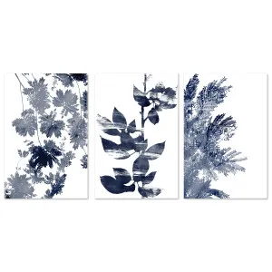 Deep Ecology, Style A, B & C, Set Of 3 by Gioia Wall Art, a Prints for sale on Style Sourcebook