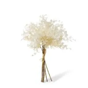 Fern Decor Bundle - 25 x 25 x 36cm by null, a Plants for sale on Style Sourcebook