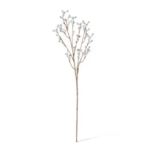 Willow Spray - 20 x 12 x 70cm by null, a Plants for sale on Style Sourcebook