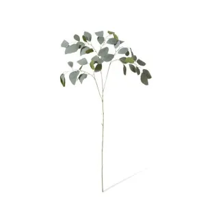 Eucalyptus Spray - 50 x 36 x 93cm by null, a Plants for sale on Style Sourcebook