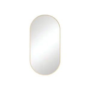 Empire Urban Brass Framed Mirror, 450 x 900mm by Fienza, a Vanity Mirrors for sale on Style Sourcebook