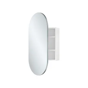 Pill Mirror Cabinet, 450 x 900mm by Fienza, a Shaving Cabinets for sale on Style Sourcebook