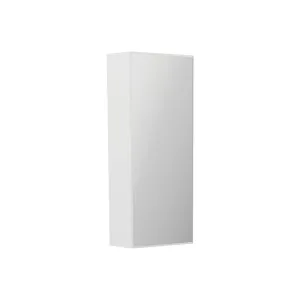 Bevel Edge 300 Mirror Cabinet by Fienza, a Shaving Cabinets for sale on Style Sourcebook