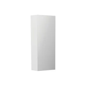 Pencil Edge 300 Mirror Cabinet by Fienza, a Shaving Cabinets for sale on Style Sourcebook