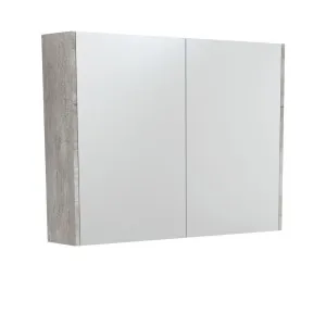 900 Mirror Cabinet with Industrial Side Panels by Fienza, a Shaving Cabinets for sale on Style Sourcebook