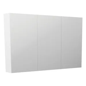 Pencil Edge 1200 Mirror Cabinet by Fienza, a Shaving Cabinets for sale on Style Sourcebook