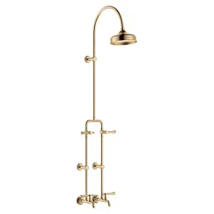 Lillian Lever Exposed Rail Shower & Bath Set, Urban Brass by Fienza, a Shower Heads & Mixers for sale on Style Sourcebook