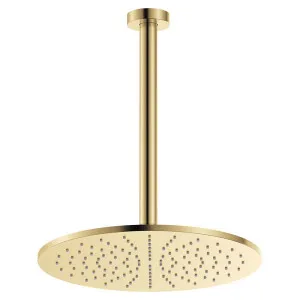 Empire Slim Ceiling Shower 300mm Head, 350mm Drop, Urban Brass by Fienza, a Shower Heads & Mixers for sale on Style Sourcebook