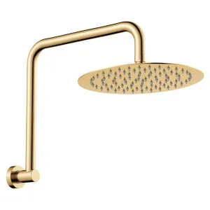 Kaya Gooseneck Shower Arm Set, Urban Brass by Fienza, a Shower Heads & Mixers for sale on Style Sourcebook