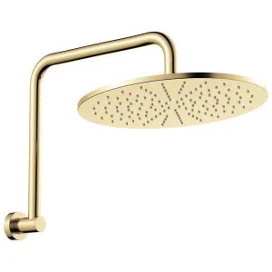 Empire Slim Gooseneck Shower Arm Set, Urban Brass by Fienza, a Shower Heads & Mixers for sale on Style Sourcebook
