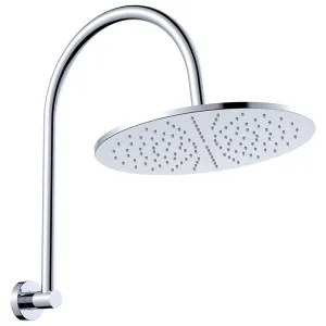 Empire Slim Curved Shower Arm Set, Chrome by Fienza, a Shower Heads & Mixers for sale on Style Sourcebook