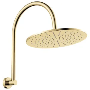 Empire Slim Curved Shower Arm Set, Urban Brass by Fienza, a Shower Heads & Mixers for sale on Style Sourcebook