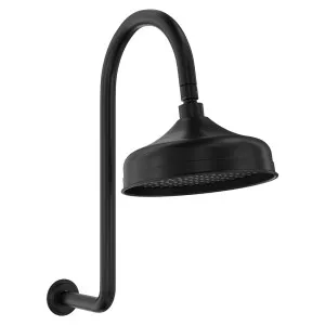 Lillian Wall Arm Shower Set, Matte Black by Fienza, a Shower Heads & Mixers for sale on Style Sourcebook