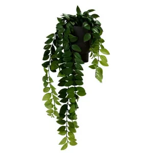 Hoya Locust Bush Daylen Pot Black & Green - 20cm x 20cm x 25cm by null, a Plant Holders for sale on Style Sourcebook