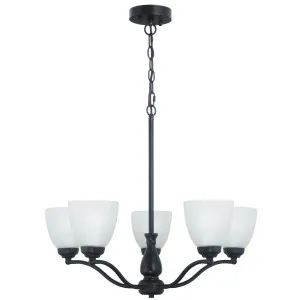 Oriel Lighting Rochester 5-Light Pendant Black by Oriel Lighting, a Pendant Lighting for sale on Style Sourcebook