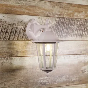Oriel Lighting Ascot Downward-Facing Wall Light White by Oriel Lighting, a Outdoor Lighting for sale on Style Sourcebook