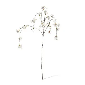 Blossom Cherry Hanging Spray - 18 x 5 x 119cm by null, a Plants for sale on Style Sourcebook