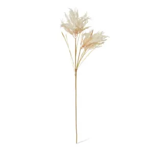 Pampas Field Grass Decor Spray - 30 x 30 x 120cm by null, a Plants for sale on Style Sourcebook