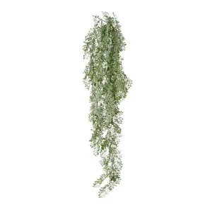 Angel Exotic Hanging Bush - 25 x 18 x 80cm by null, a Plants for sale on Style Sourcebook