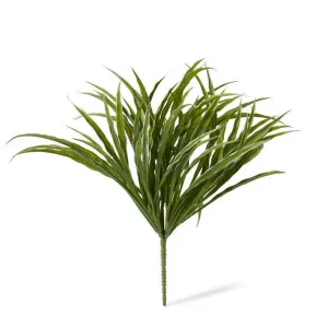 Grass Liriope Bush - 36 x 36 x 35cm by null, a Plants for sale on Style Sourcebook