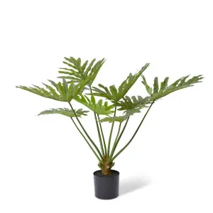 Split Philo Plant Potted - 110 x 95 x 92cm by null, a Plants for sale on Style Sourcebook