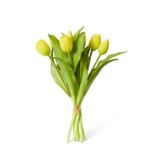 Tulip Petite Bundle - 22 x 22 x 30cm by null, a Plants for sale on Style Sourcebook