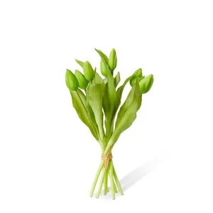 Tulip Bud Bundle - 22 x 22 x 30cm by null, a Plants for sale on Style Sourcebook