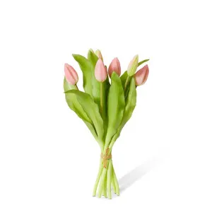 Tulip Bud Bundle - 18 x 18 x 30cm by null, a Plants for sale on Style Sourcebook