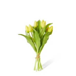 Tulip Bud Bundle - 22 x 22 x 30cm by null, a Plants for sale on Style Sourcebook