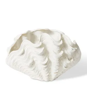 Clam Vessel - 49 x 34 x 30cm by null, a Statues & Ornaments for sale on Style Sourcebook