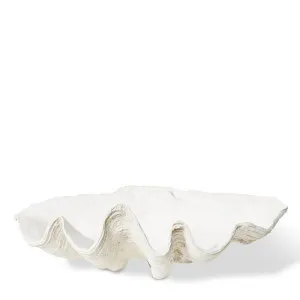 Clam Shell  Sculpture - 69 x 41 x 27cm by null, a Statues & Ornaments for sale on Style Sourcebook