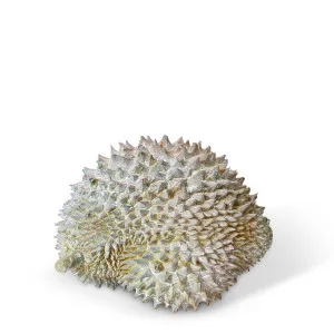 Durian Sculpture - 22 x 16 x 17cm by null, a Statues & Ornaments for sale on Style Sourcebook