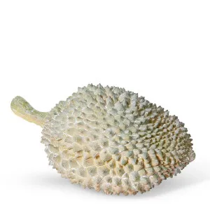 Durian Sculpture - 30 x 19 x 16cm by null, a Statues & Ornaments for sale on Style Sourcebook
