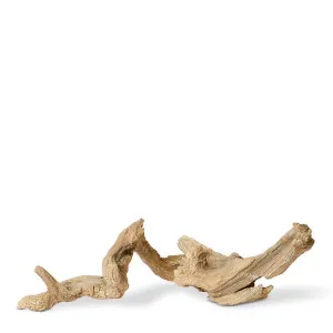 Banzi Sculpture - 67 x 37 x 24cm by null, a Statues & Ornaments for sale on Style Sourcebook