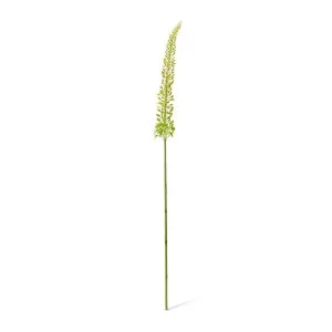 Foxtail Lily Stem - 8 x 8 x 112cm by null, a Plants for sale on Style Sourcebook