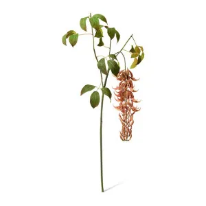Jade Vine Flower Spray - 56 x 48 x 140cm by null, a Plants for sale on Style Sourcebook
