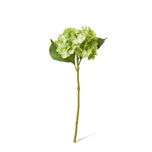Hydrangea Garden Small Stem - 15 x 26 x 47cm by null, a Plants for sale on Style Sourcebook