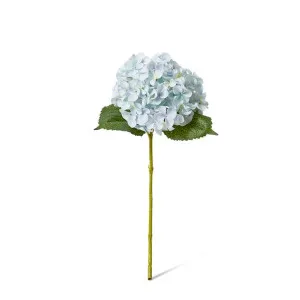 Hydrangea Garden Small Stem - 15 x 26 x 47cm by null, a Plants for sale on Style Sourcebook