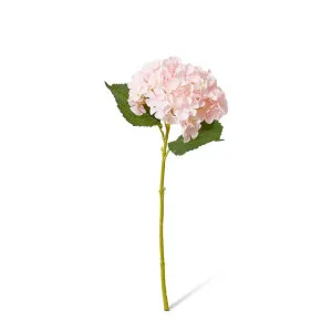 Hydrangea Garden Small Stem - 15 x 26 x 47cm by null, a Plants for sale on Style Sourcebook