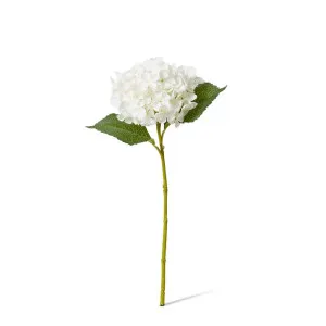 Hydrangea Garden Small Stem - 15 x 26 x 47cm by null, a Plants for sale on Style Sourcebook