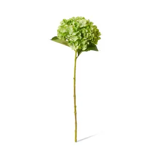 Hydrangea Garden Large Stem - 19 x 31 x 65cm by null, a Plants for sale on Style Sourcebook